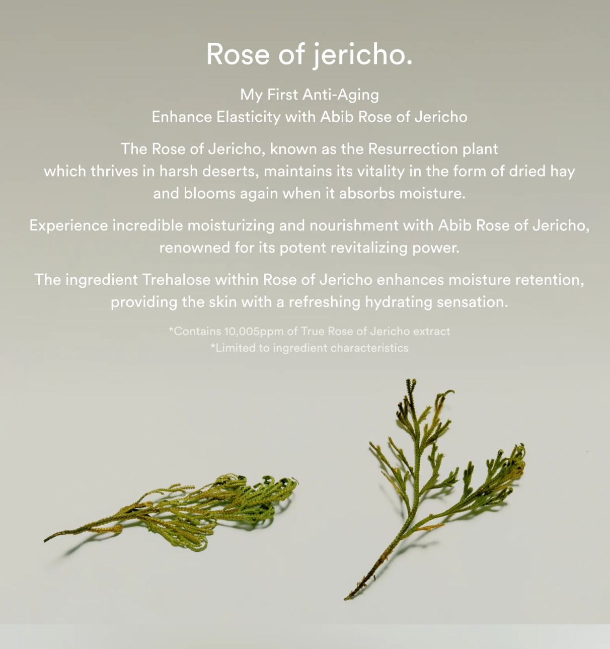 Collagen eye crème Jericho rose tube