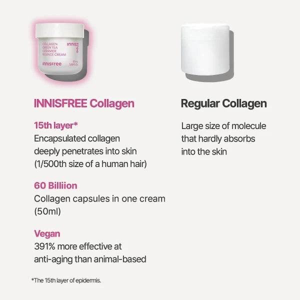 Collagen Green Tea Ceramide Bounce Cream - K-beauty glow