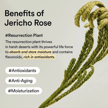 Collagen Eye Crème Jericho Rose Tube