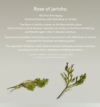 Collagen eye crème Jericho rose tube