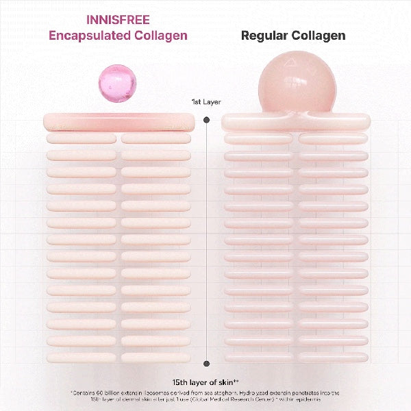 Collagen Green Tea Ceramide Bounce Cream - K-beauty glow